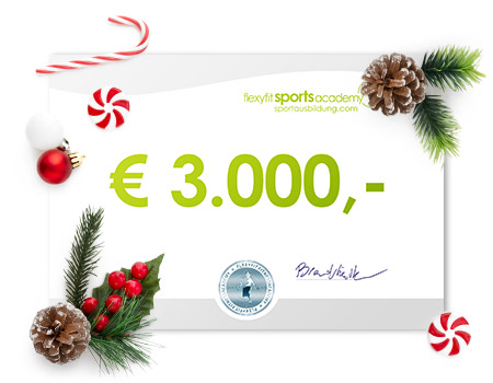 3000 Euro Weihnachtsgutschein