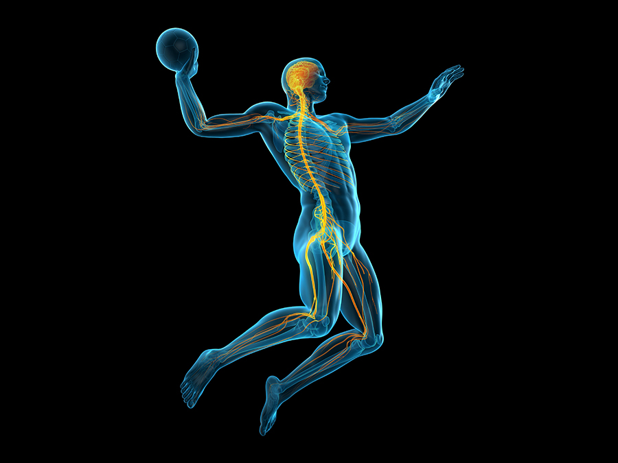Neuroathletik