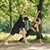 Tab Flow Yoga
